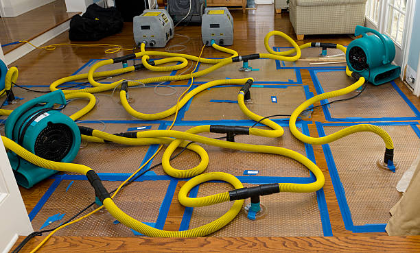 Professional Storm Water Damage Restoration technician working in Albany, OH